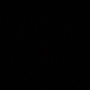 Meet your Posher, Jake